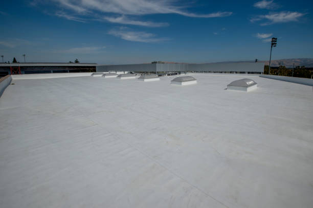 Best Storm Damage Roof Repair  in Black Diamond, FL