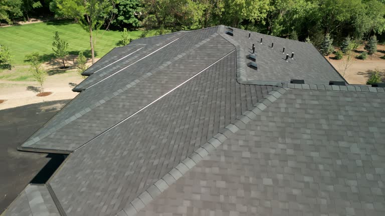 Best Roof Moss and Algae Removal  in Black Diamond, FL