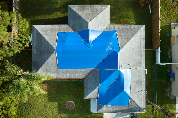 Best Roof Leak Repair  in Black Diamond, FL