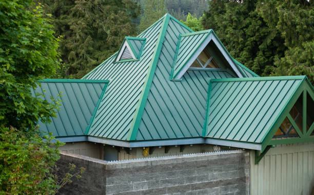 Best Gutter Installation and Repair  in Black Diamond, FL