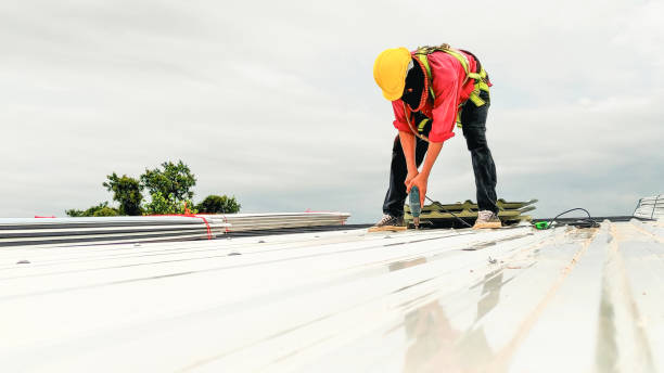 Best 4 Ply Roofing  in Black Diamond, FL
