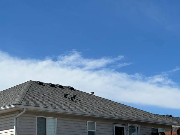 Best Asphalt Shingles Roofing  in Black Diamond, FL